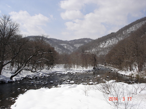 d0165378_89750.jpg
