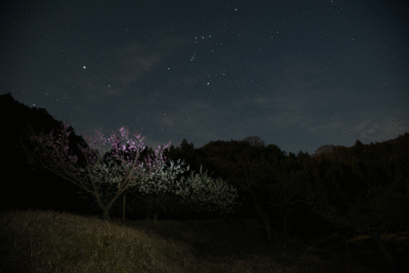 d0133382_18364451.gif