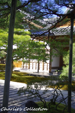 f0215684_11001256.jpg