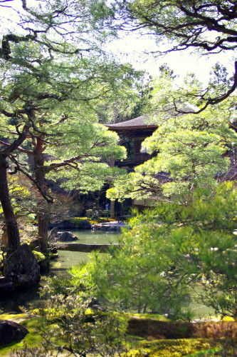 f0215684_11063447.jpg