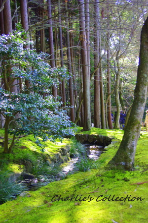f0215684_11191952.jpg