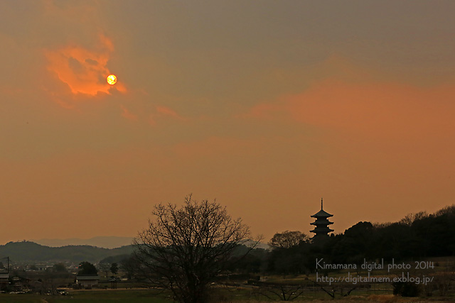 備中国分寺の夕景　3/16_c0083985_1022744.jpg