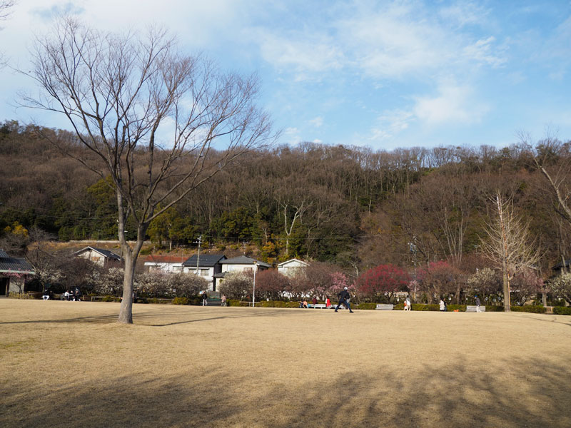 b0120889_0184379.jpg