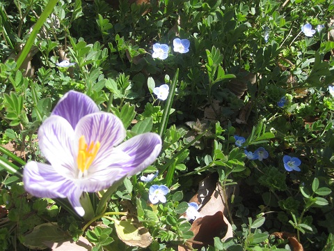 c0158301_11355463.jpg
