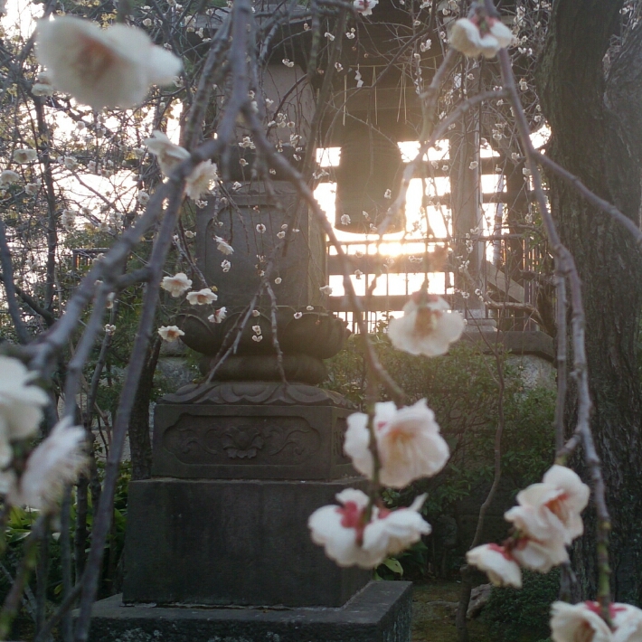 c0092803_1982627.jpg