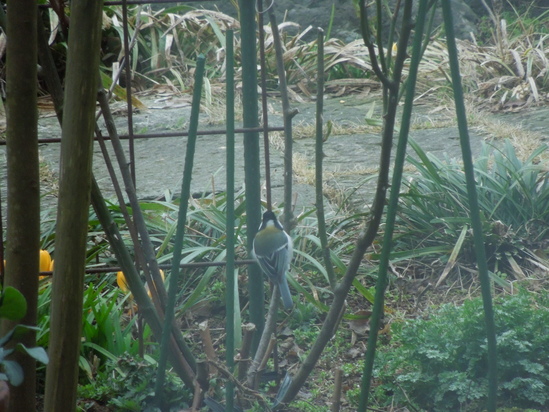 f0297809_2148210.jpg