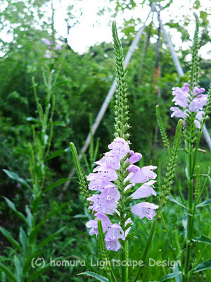 f0322812_0252455.jpg