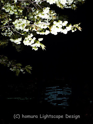 f0322812_025398.jpg