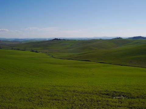 b0302616_1652736.jpg