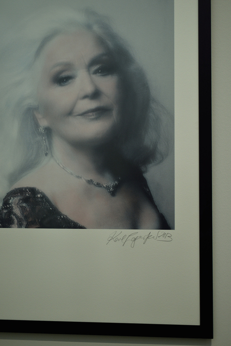Karl Lagerfeldの写真(その他)展を観る 【D610】_b0148617_2055065.jpg