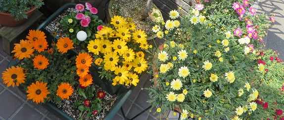 c0280322_15334820.jpg