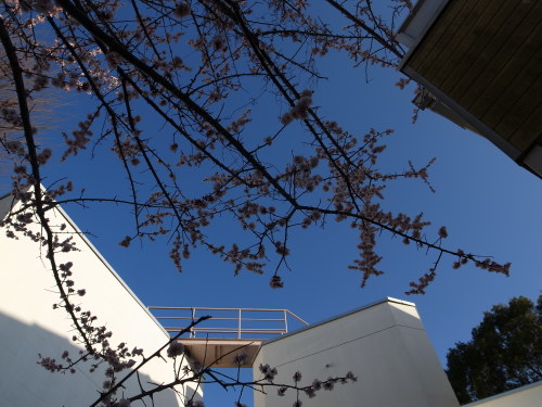 a0222424_08412528.jpg