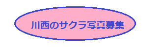 d0024426_10393327.png