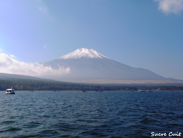 Mt. Fuji_c0127227_21462817.jpg