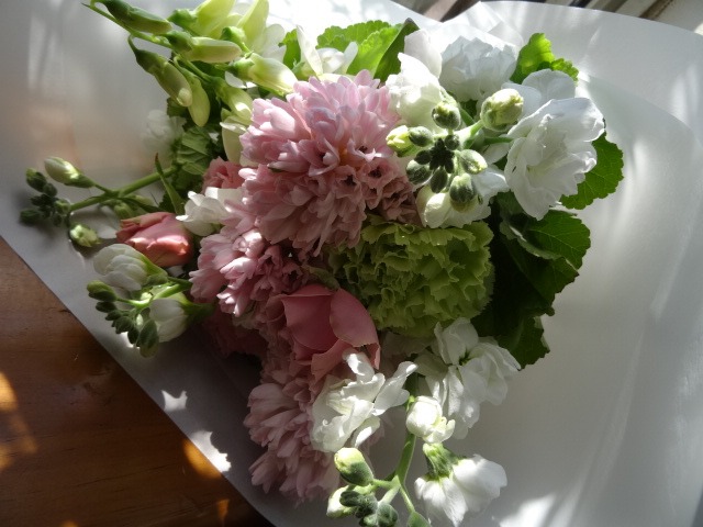 八重桜_c0102228_2081734.jpg