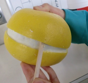 b0171839_1256045.jpg