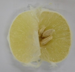 b0171839_12565550.jpg