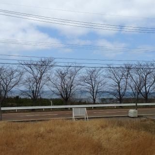 しごと日誌 140319_a0210340_22375070.jpg