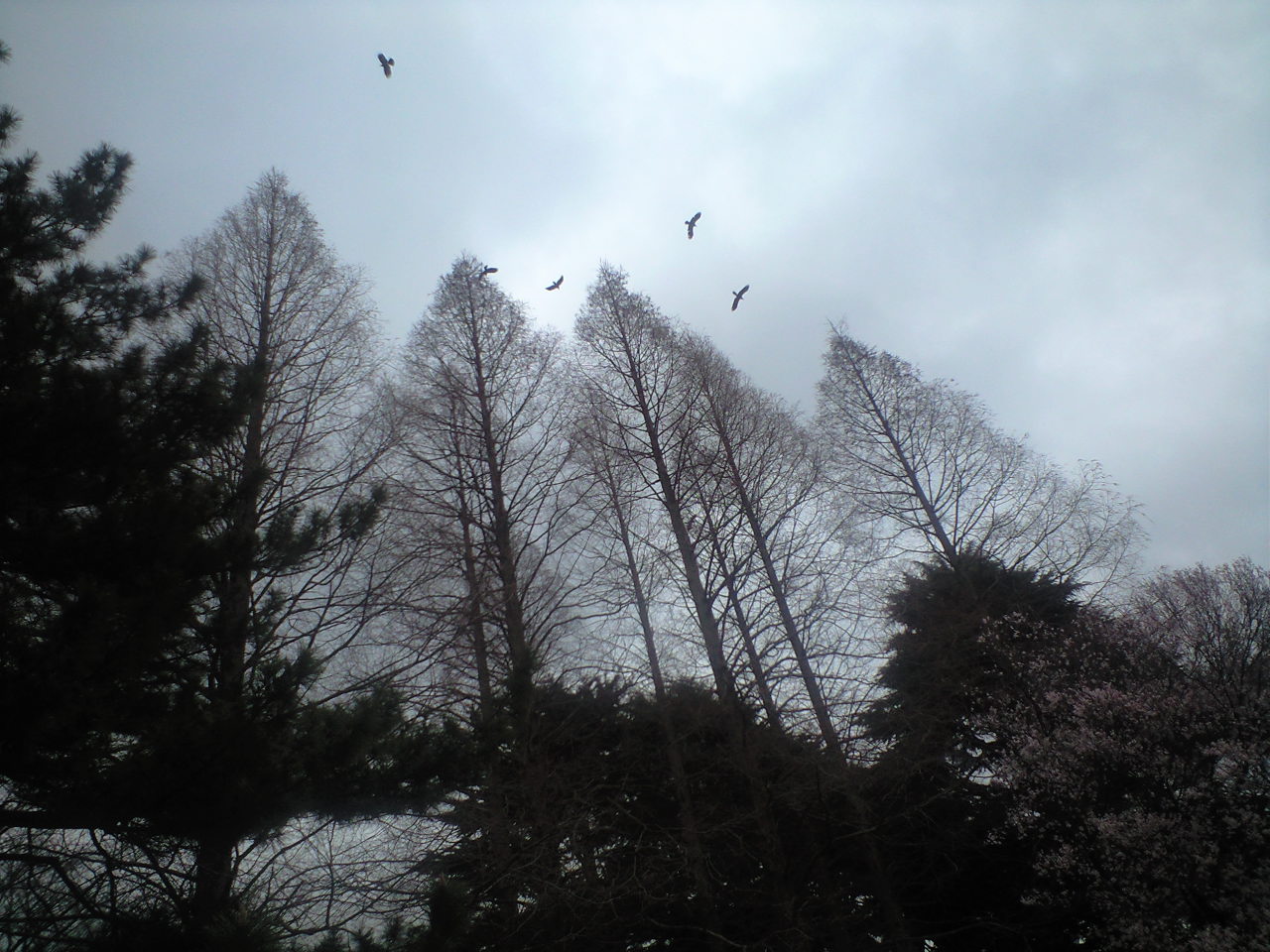 b0330040_19220111.jpg