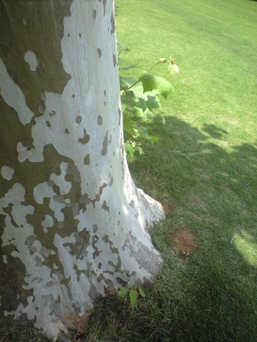 b0330040_19244308.jpg