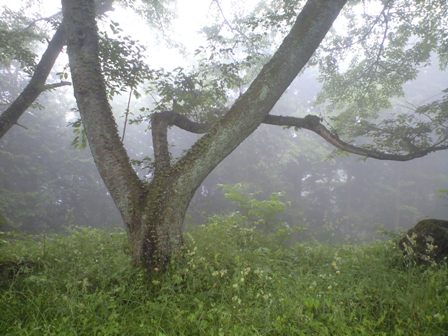 b0330040_19280981.jpg