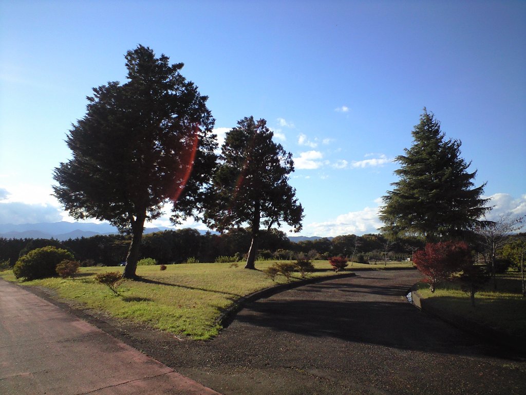 b0330040_19553060.jpg