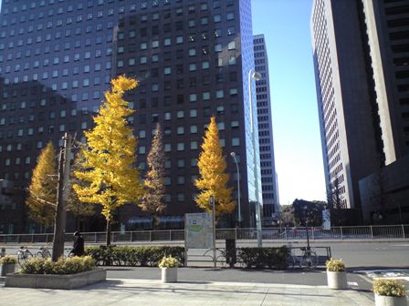 b0330040_19563428.jpg