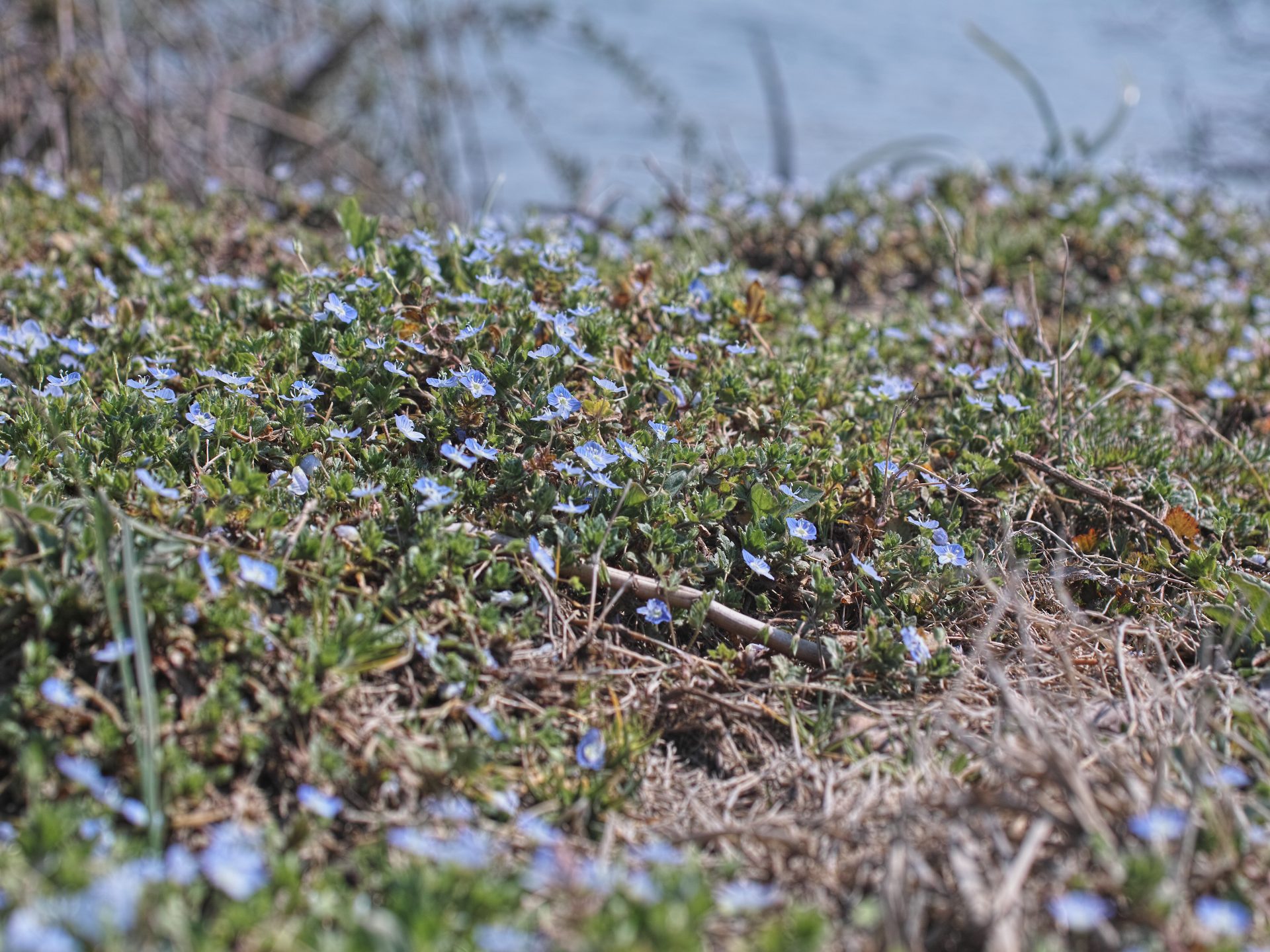 c0008948_22418.jpg
