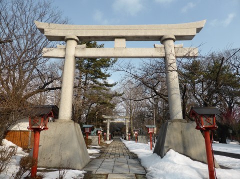 白鳥が大空を飛んで行きます_b0238249_19245541.jpg