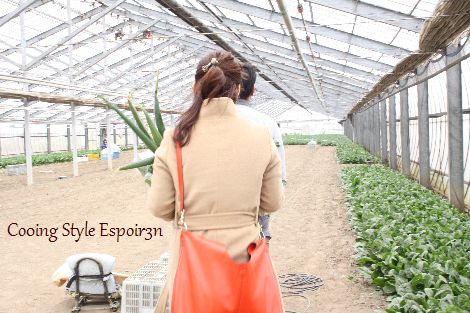 野菜農家へ出張中CookingStyle Espoir3n_c0162653_16293966.jpg