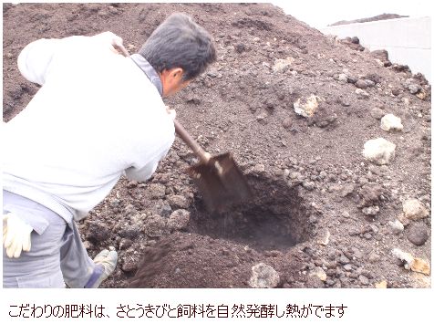 野菜農家へ出張中CookingStyle Espoir3n_c0162653_1629505.jpg
