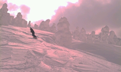 c0164354_88623.jpg