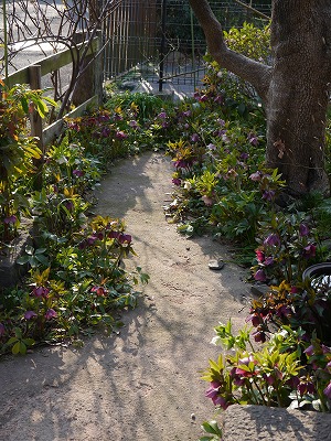 e0131959_12431126.jpg