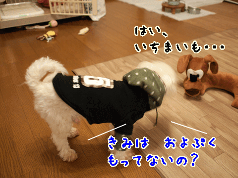 e0248268_07394347.gif