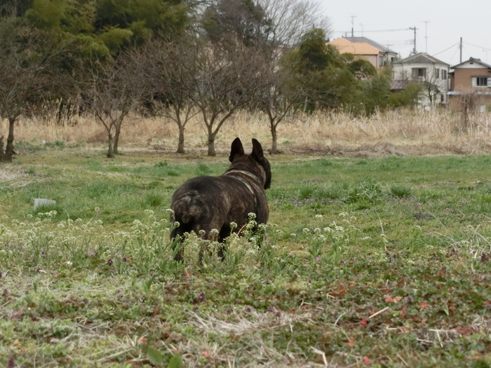 ３月１９日　行きたいのか⁇行きたくないのか⁇　８．１４ｋｍ_e0199784_2216389.jpg