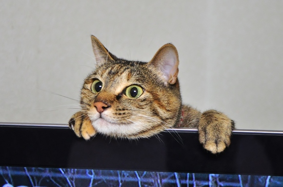 愛されてます Beloved_a0126590_22391210.jpg