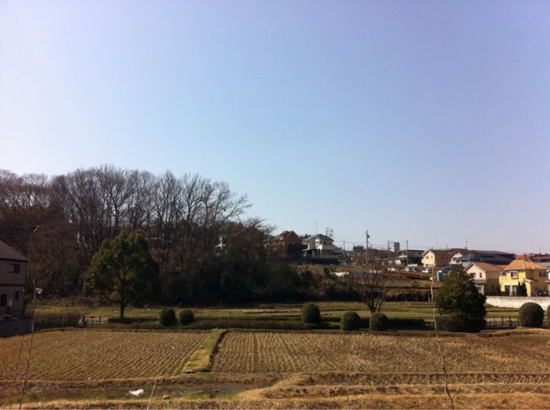 d0135694_8571977.jpg