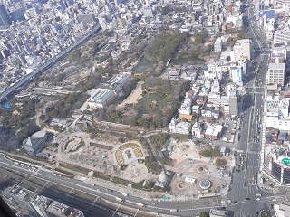 e0175295_1454752.jpg