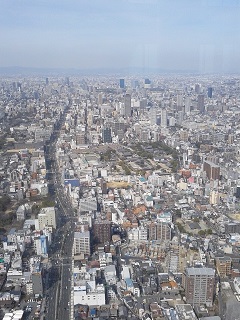 e0175295_1545264.jpg