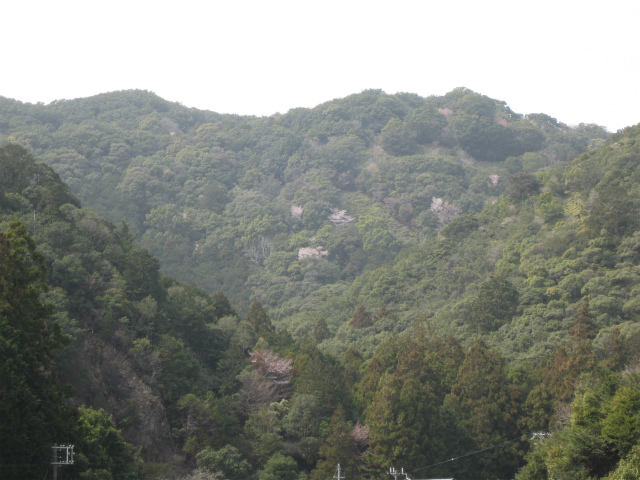 c0242706_0465195.jpg