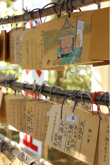 田縣神社 豊年祭 2014　③_a0105011_2143672.jpg