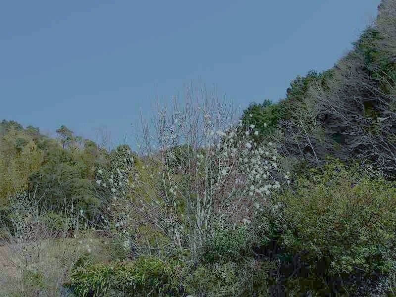 f0182513_2358875.jpg