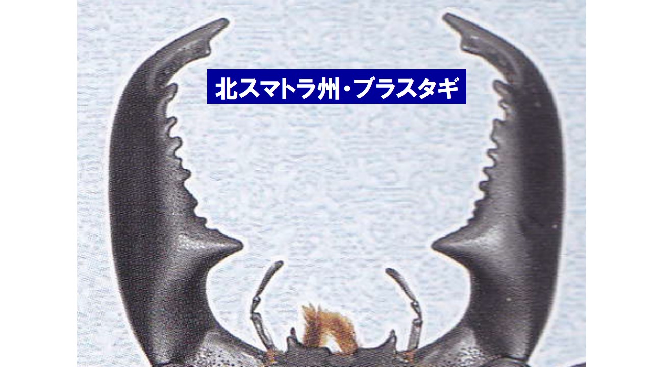 a0315918_19255499.jpg