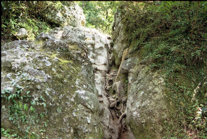 f0174419_1142716.jpg
