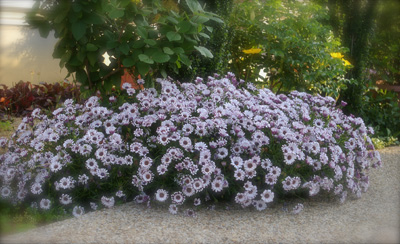 e0194723_2234931.jpg