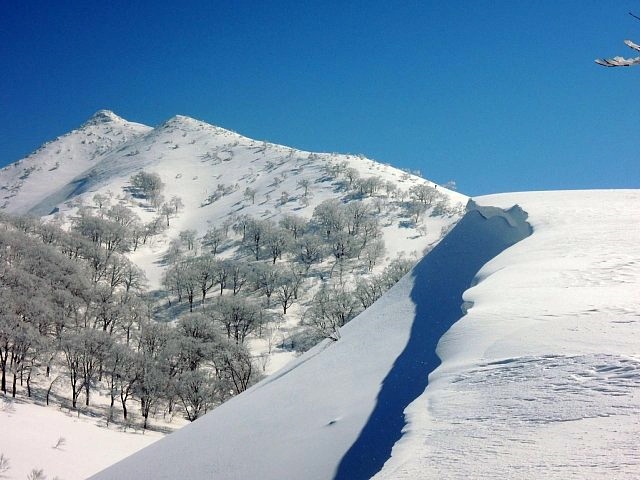 b0122448_21271746.jpg