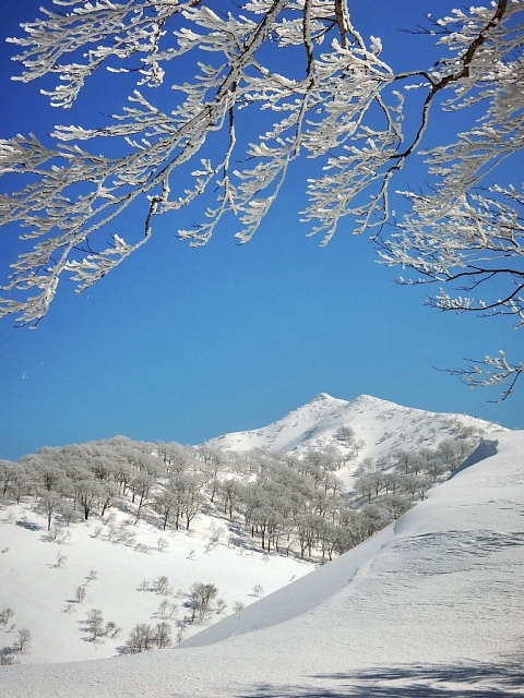 b0122448_21272723.jpg