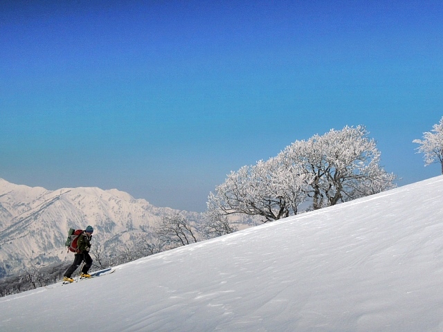 b0122448_21295969.jpg