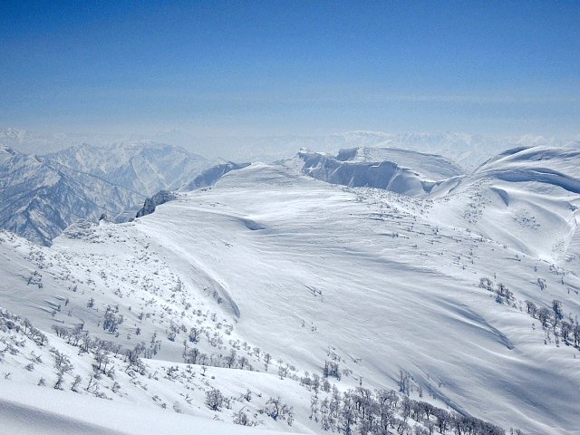 b0122448_21333383.jpg