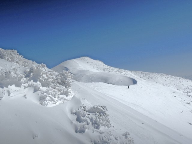 b0122448_21352321.jpg